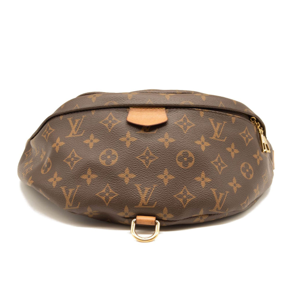 Louis Vuitton Neverfull Waist Bags & Fanny Packs