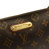 Louis Vuitton Monogram Eva Crossbody Chain