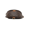 PRE-ORDER  Louis Vuitton  Monogram Bumbag