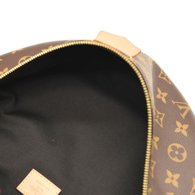 LOUIS VUITTON Monogram Bumbag