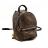 $2440 LOUIS VUITTON Monogram Palm Springs Backpack Mini