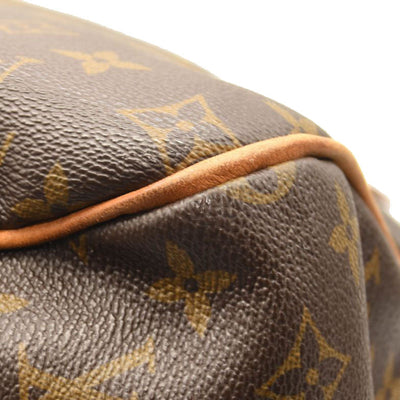 LOUIS VUITTON Monogram Delightful GM