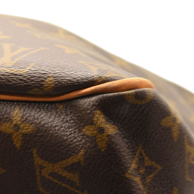 LOUIS VUITTON Monogram Delightful GM