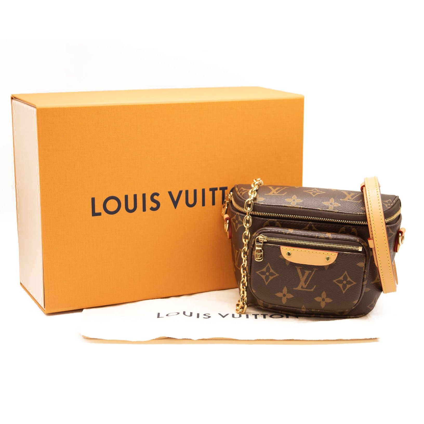 Louis Vuitton Mini Monogram Bumbag
