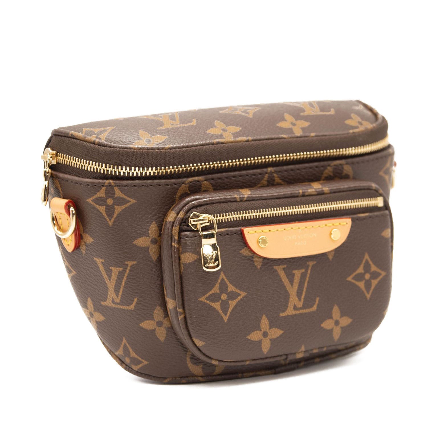 Louis Vuitton Monogram Mini Bum Bag