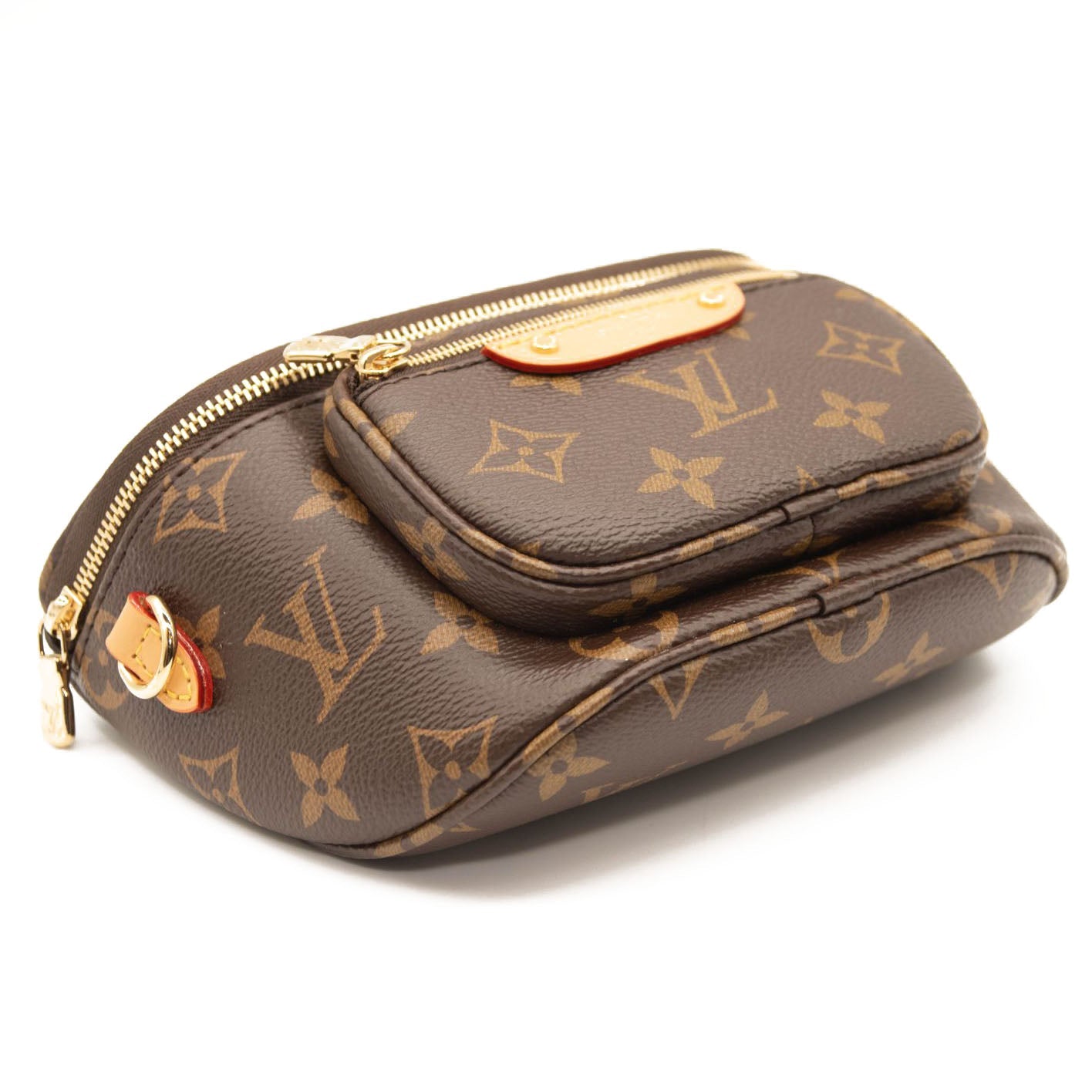 Louis Vuitton Monogram Mini Bum Bag
