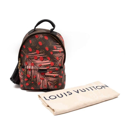 Louis Vuitton Monogram Canvas Palm Springs PM Backpack Louis